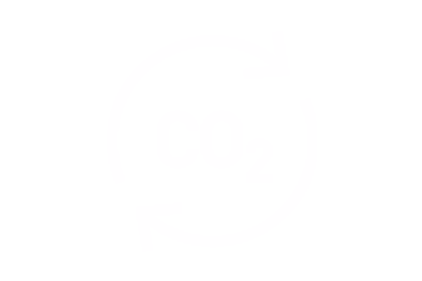 carbon neutral icon